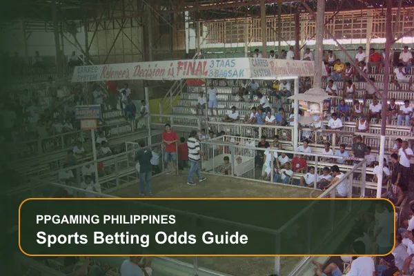 sports betting odds guide guide for Filipino players on Ppgaming