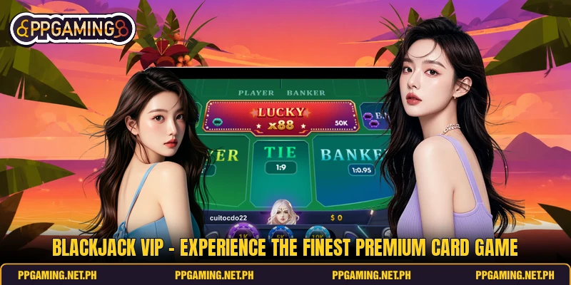 Blackjack VIP - Experience The Finest Premium Card Game