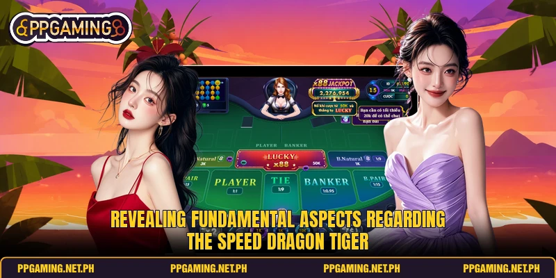 Revealing fundamental aspects regarding the speed dragon tiger Revealing fundamental aspects regarding the speed dragon tiger